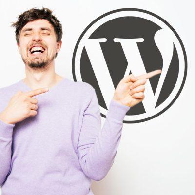 بررسی ادعاهای قانونی Automattic در زمینه سئو