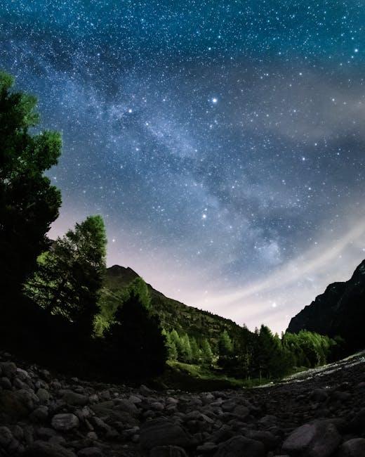سطح سهولت استفاده و تجربه طراحی برای مبتدیان